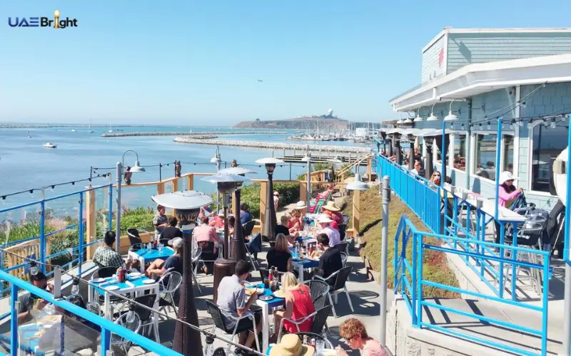 Restaurants and Food Near Half Moon Beach