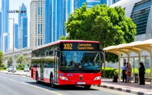 X02: Connection Toward Union