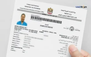 Visa and Entry Permit Services